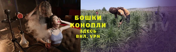 ешки Аркадак