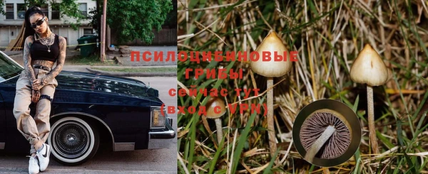 mdpv Рославль