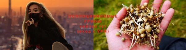 дурь Протвино