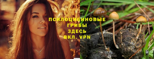метадон Приозерск