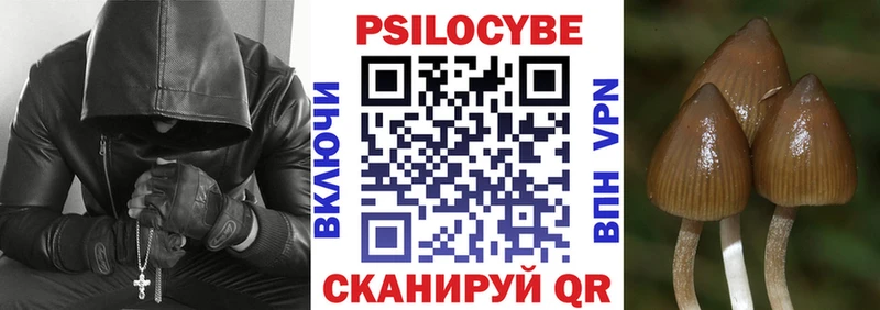 Псилоцибиновые грибы Psilocybine cubensis Шебекино